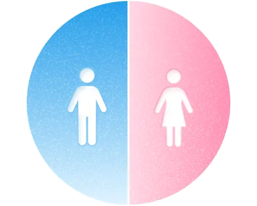 男女比 男性50%・女性50%のイラスト